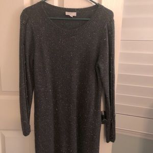Loft sweater dress